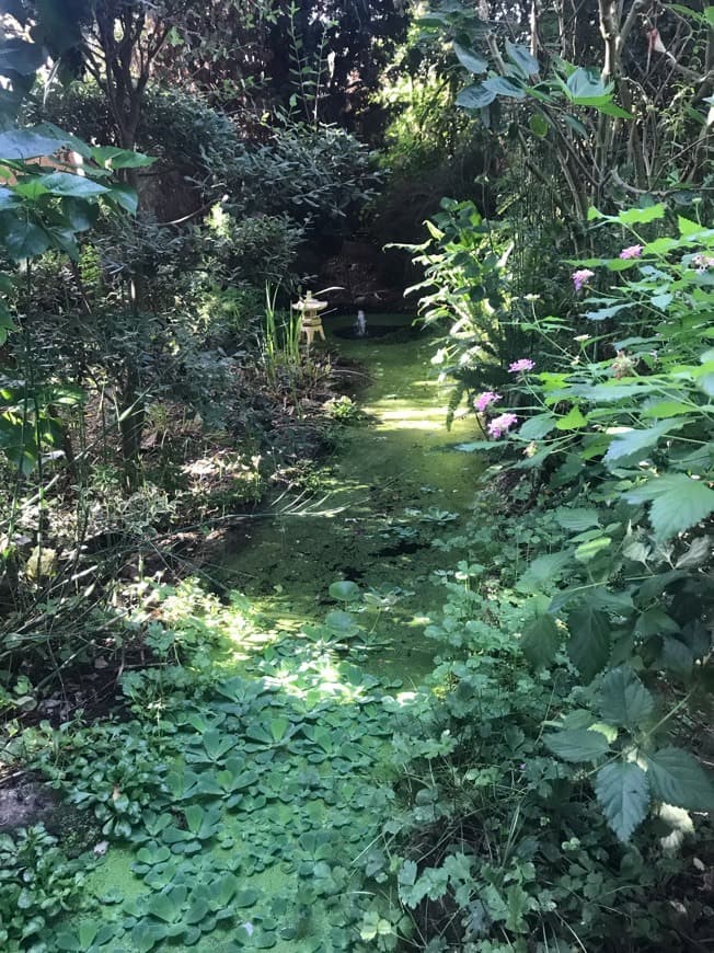 Lugar Jardín Botánico La Almunya del Sur