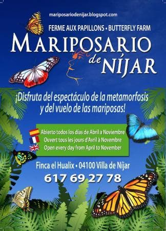 Lugar Mariposario de Nijar