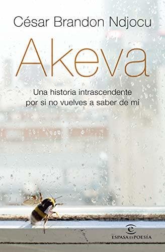 Book Akeva: Una historia intranscendente por si no vuelves a saber de mí