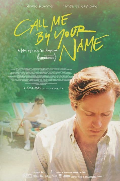 Movie Call Me by Your Name