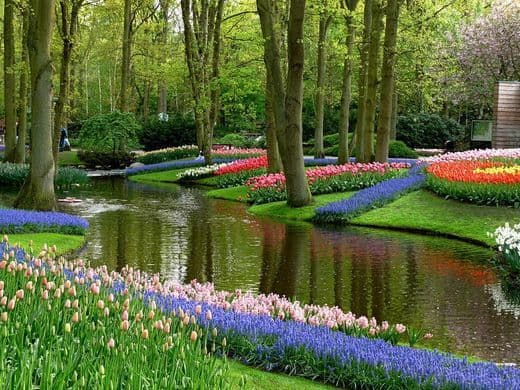 Lugar Keukenhof