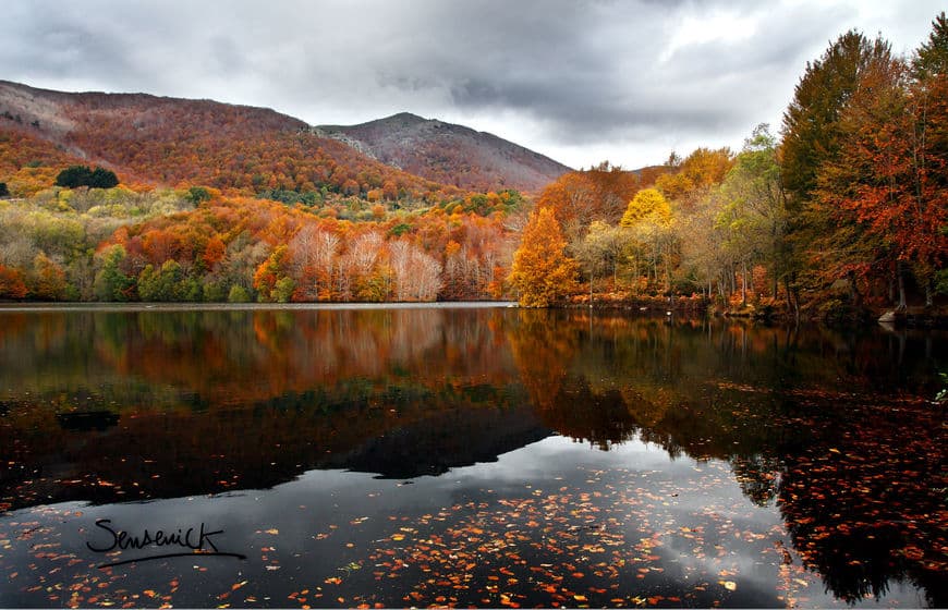 Place El Montseny