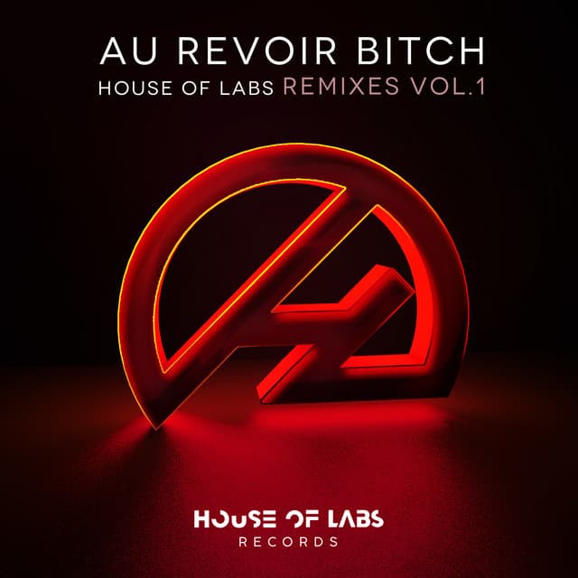 Music Au Revoir Bitch - Enrico Meloni Remix