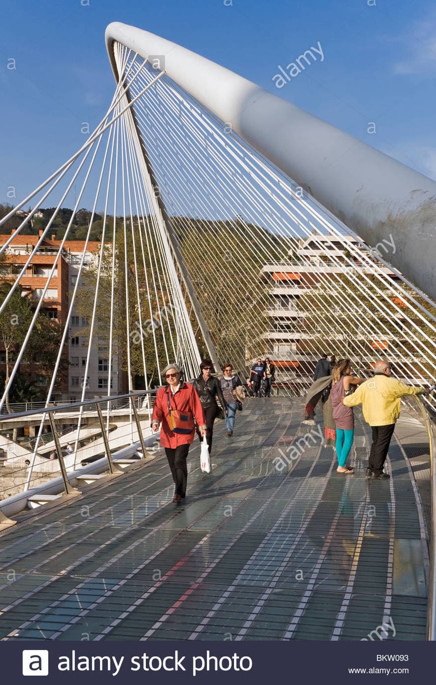 Lugar Puente de Calatrava