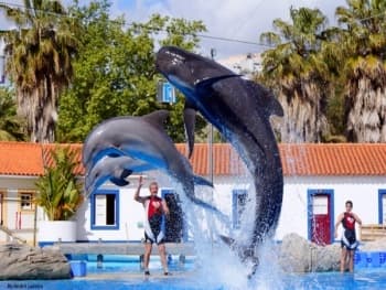 Lugar Zoo portugal