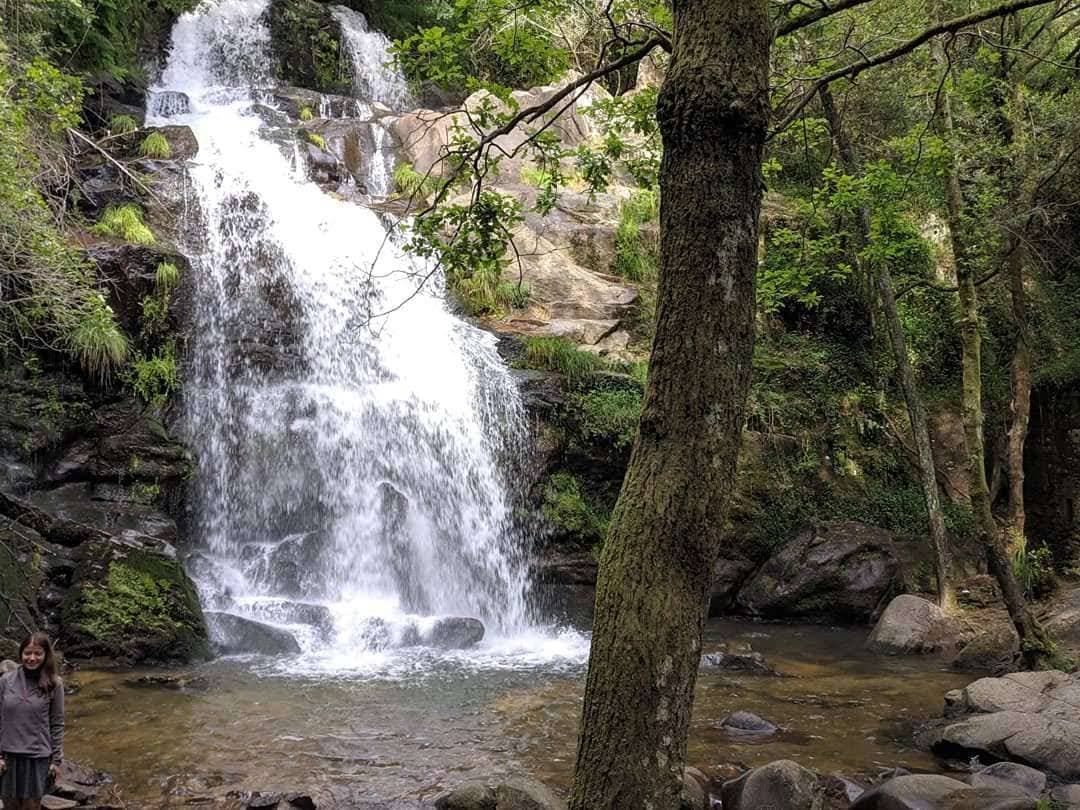 Lugar Parque da Cabreia