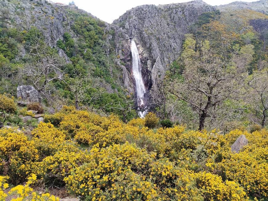 Lugar Frecha da Mizarela