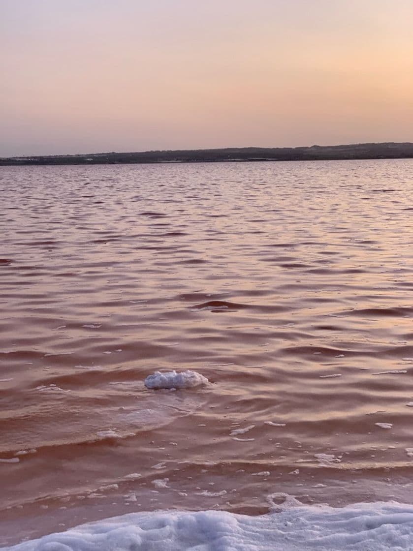 Lugar Torrevieja Pink Lake