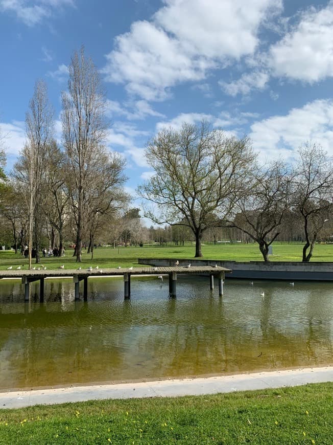 Place Quinta das Conchas