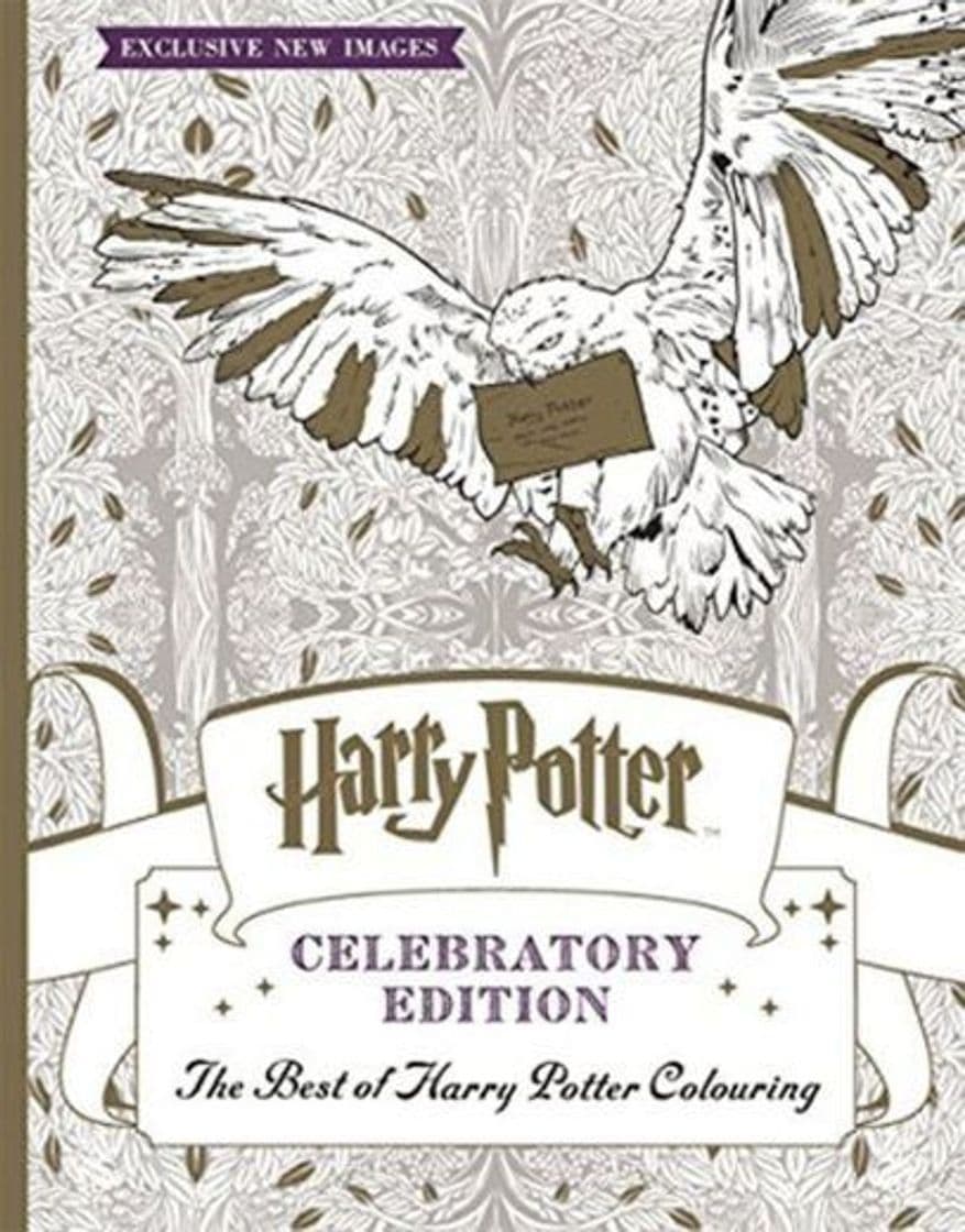 Book Best of harry potter colouring book