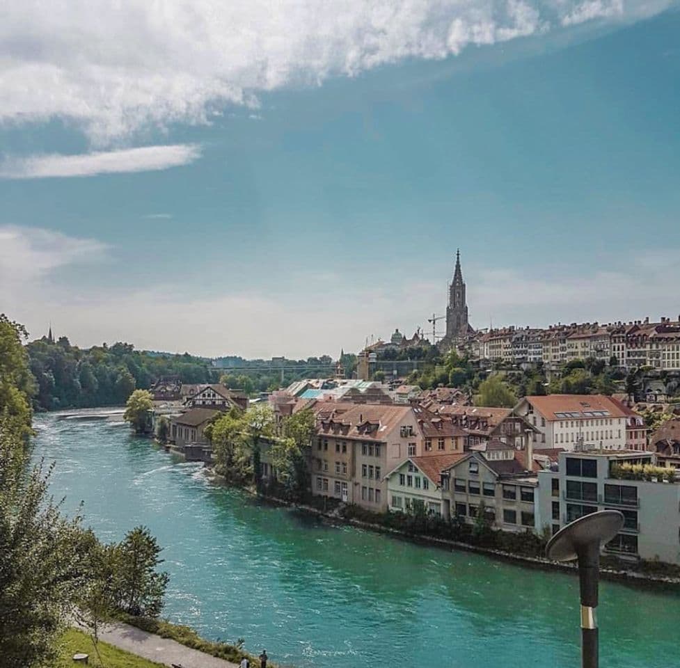 Lugar BärenPark Bern