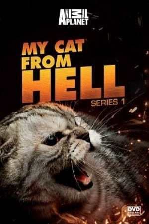 Serie My Cat from Hell