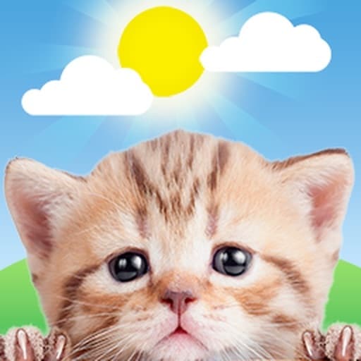 App El Clima y Gatos Weather Kitty