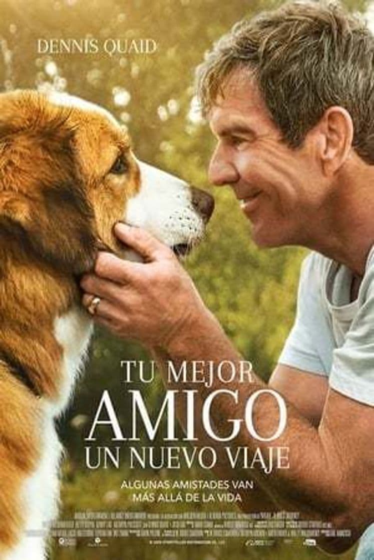 Película A Dog's Journey