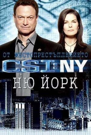 Serie CSI: NY