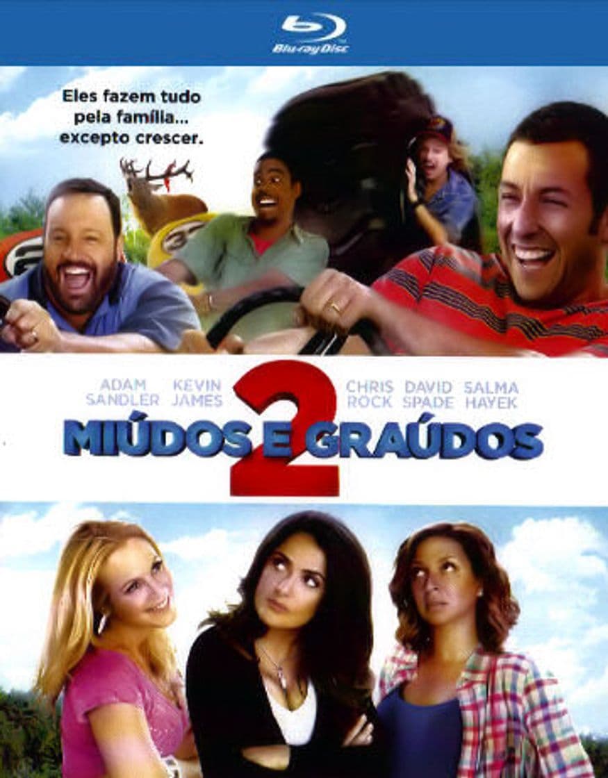 Película Grown Ups 2