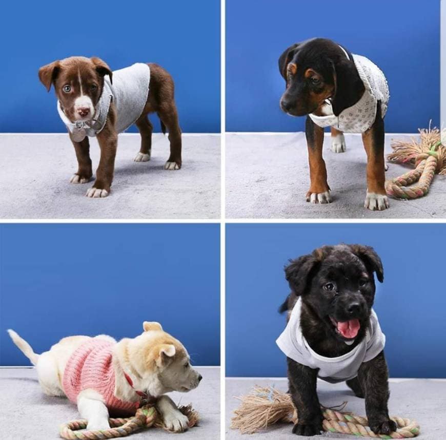 Fashion Nifty Pets - Upcycled Dog Sweaters | Facebook