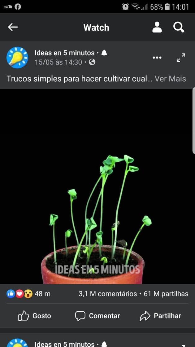 Fashion Trucos simples para hacer cultivar... - Ideas en 5 minutos