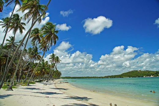 Place Praia dos Carneiros