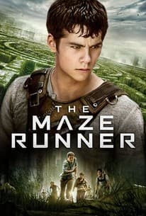 Movie The Maze Runner