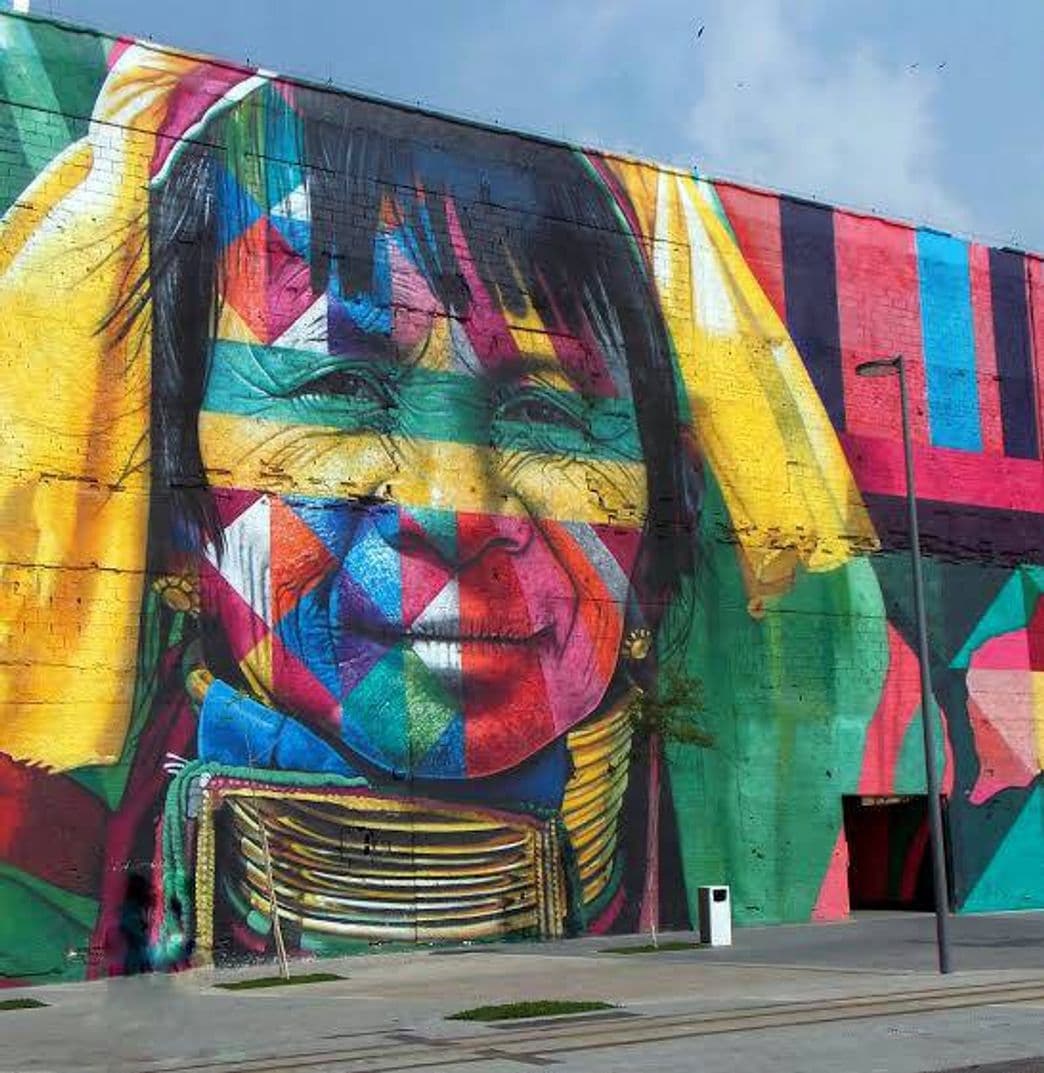 Place Mural Etnias do artista Kobra