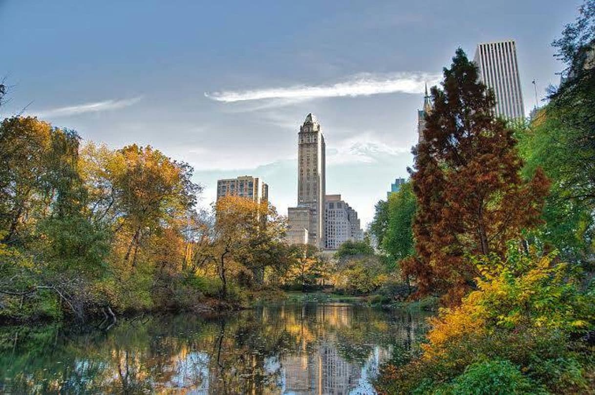 Lugar Central Park