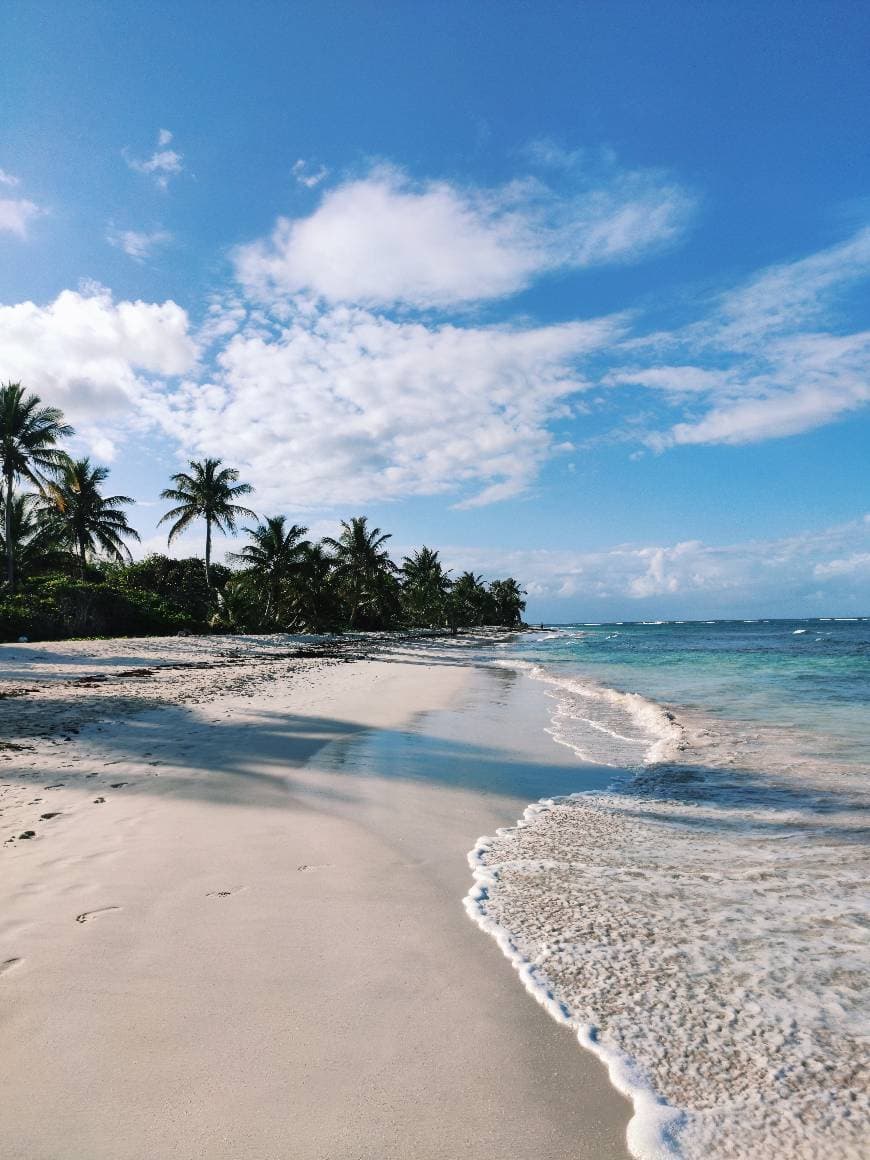 Lugar Playa Flamenco