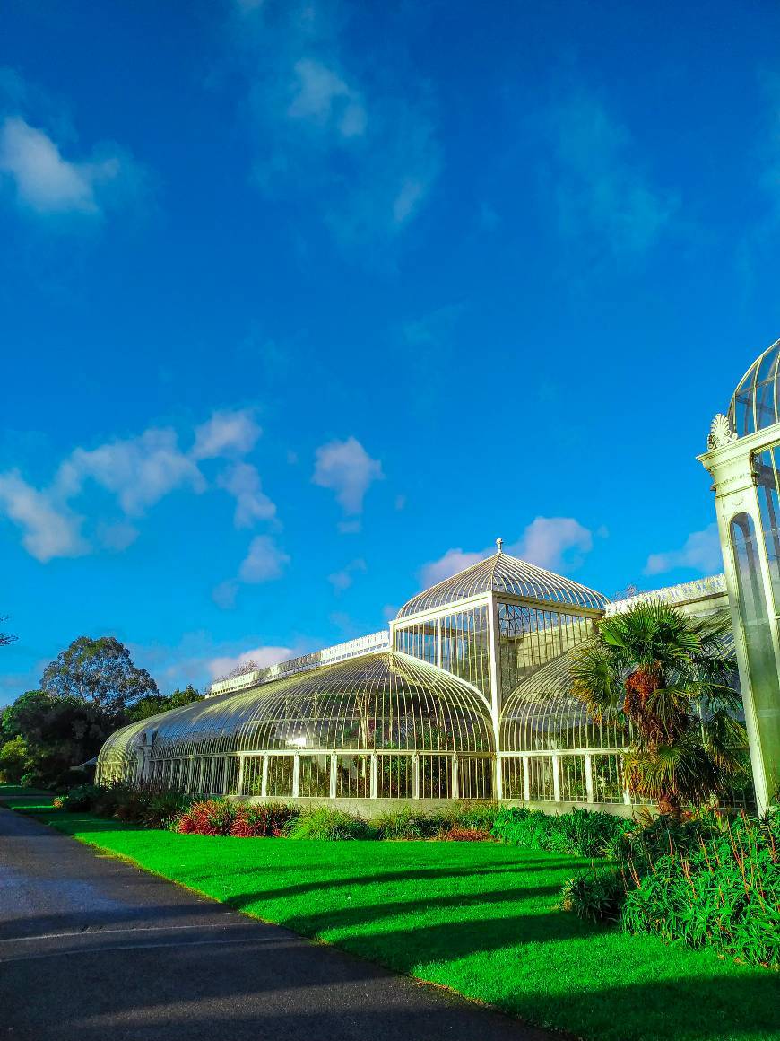 Lugar Jardín Botánico Nacional de Irlanda