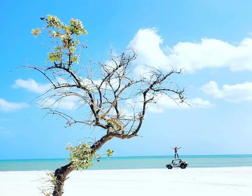 Lugar Jericoacoara