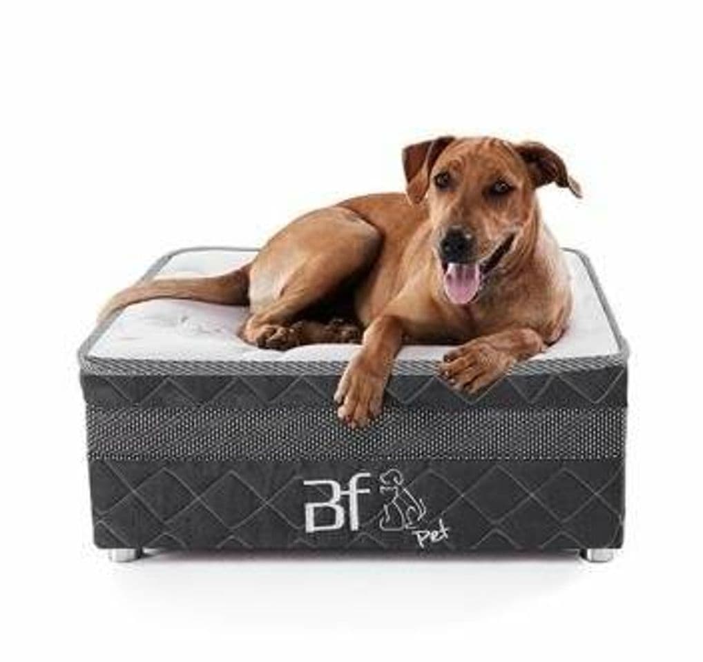 Product Caminha Box Pet Para Cachorros E Gatos