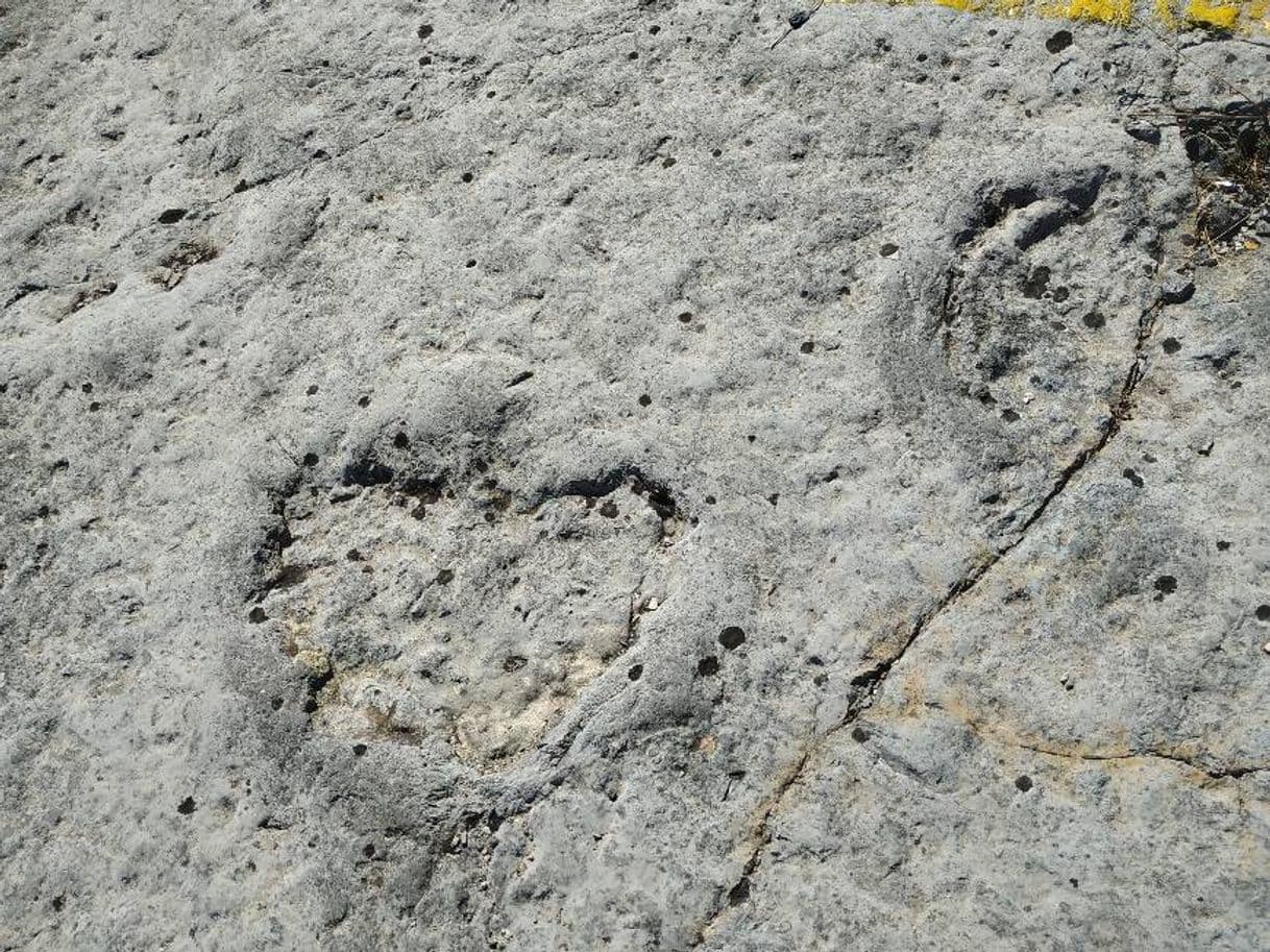 Place Pegadas dos Dinossáurios na Serra de Aire

