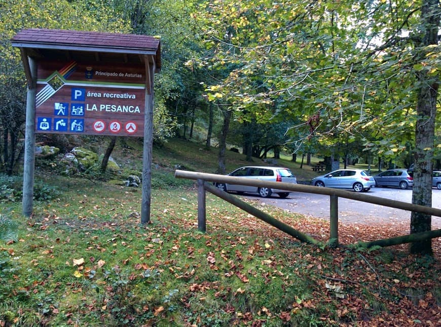 Lugar Área recreativa La Pesanca, Piloña, Asturias