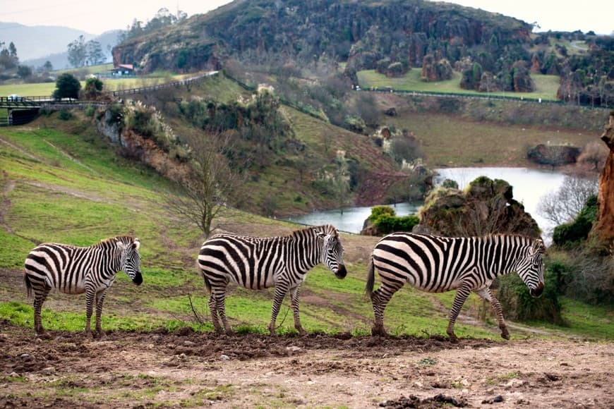 Lugar Parque de la Naturaleza de Cabárceno