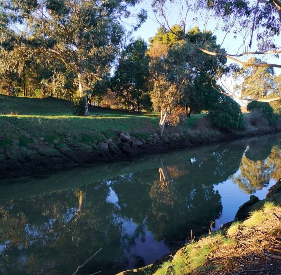 Lugar Marismas da Xunqueira de Alba