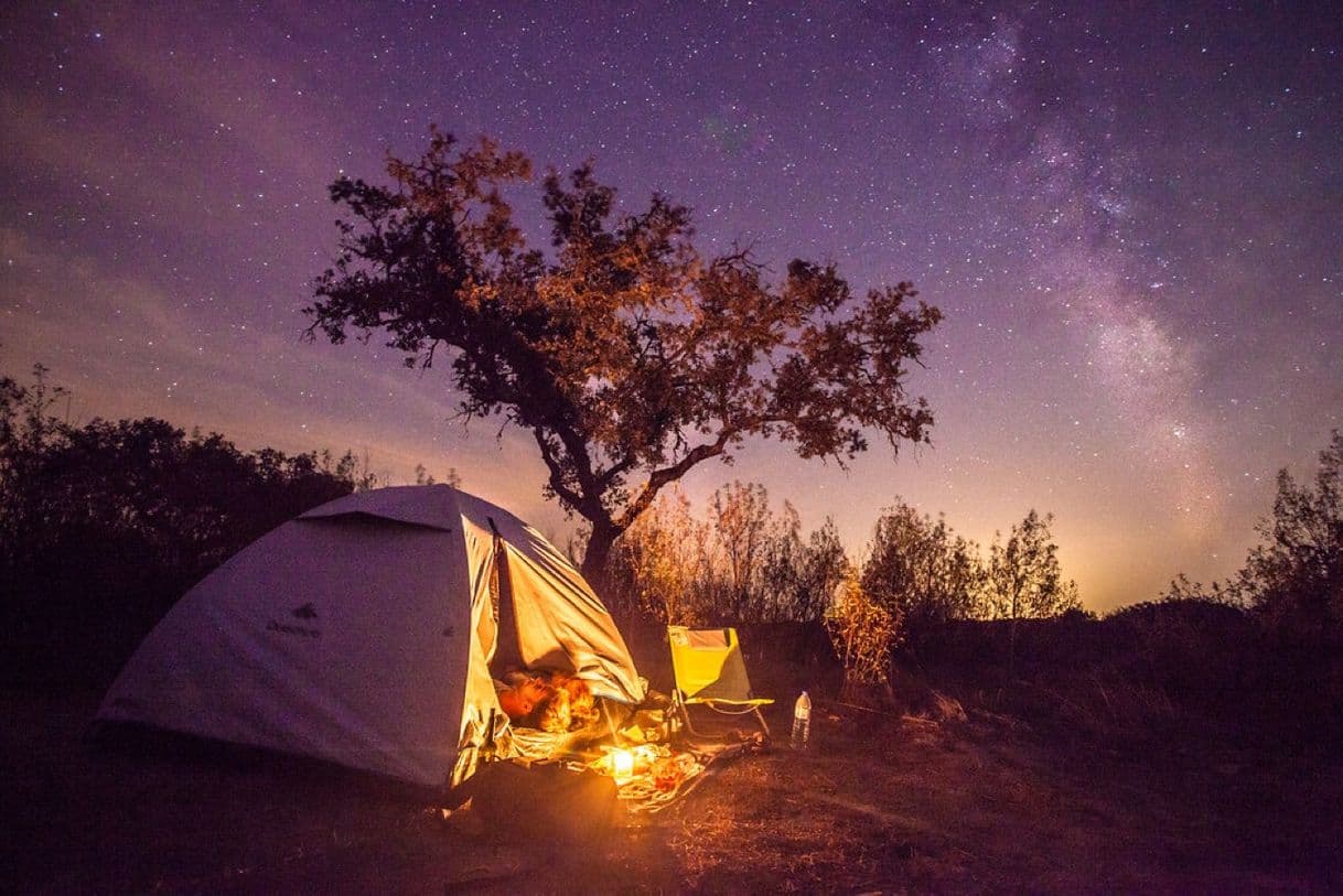 Fashion Bubulcus & Bolotas Camping | Sustainable Nature Tourism, Alentejo .