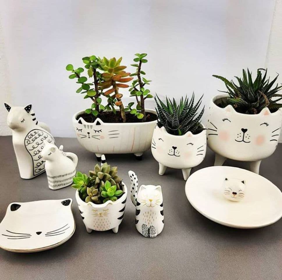 Product Cerâmicas de Gatinho 