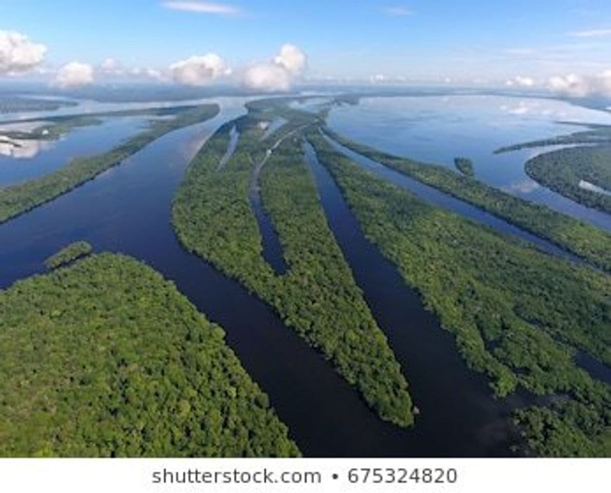 Lugar Amazonia