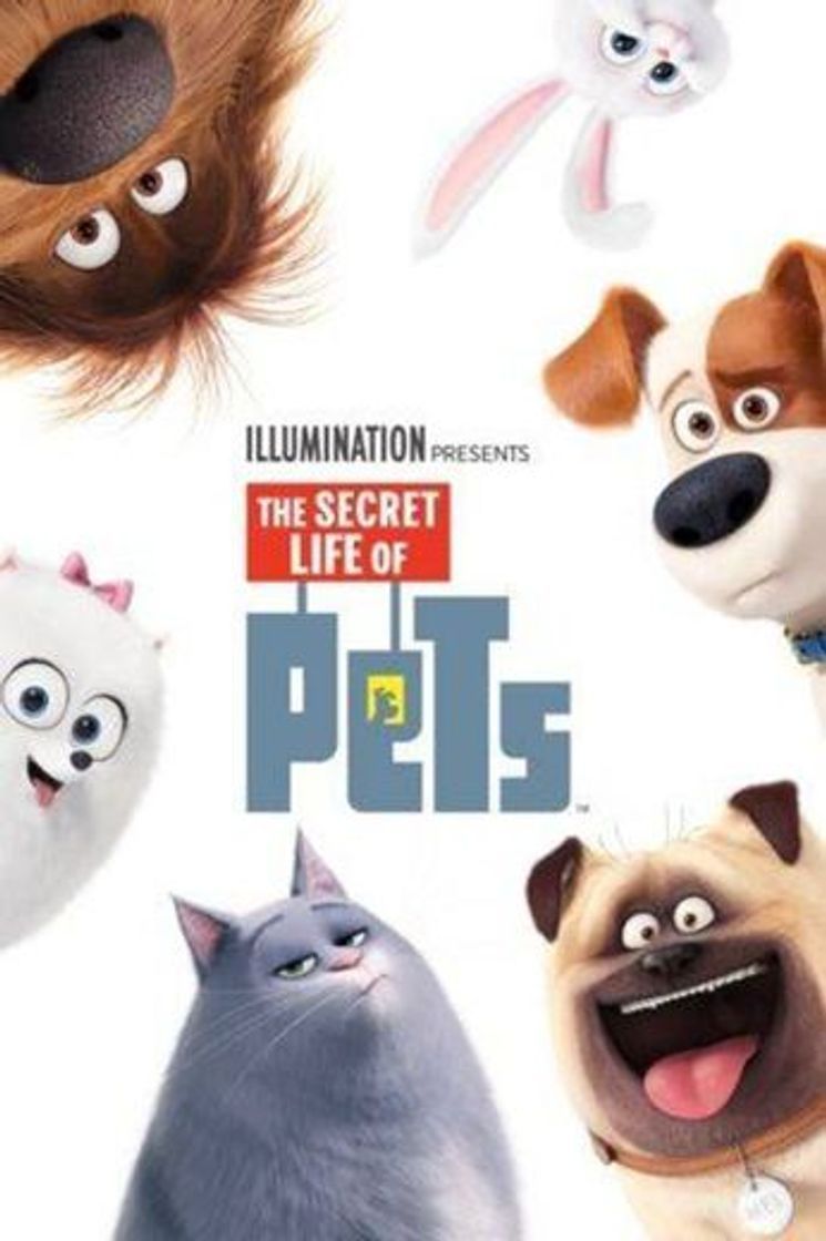 Movie  Pets – A Vida Secreta dos Bichos 