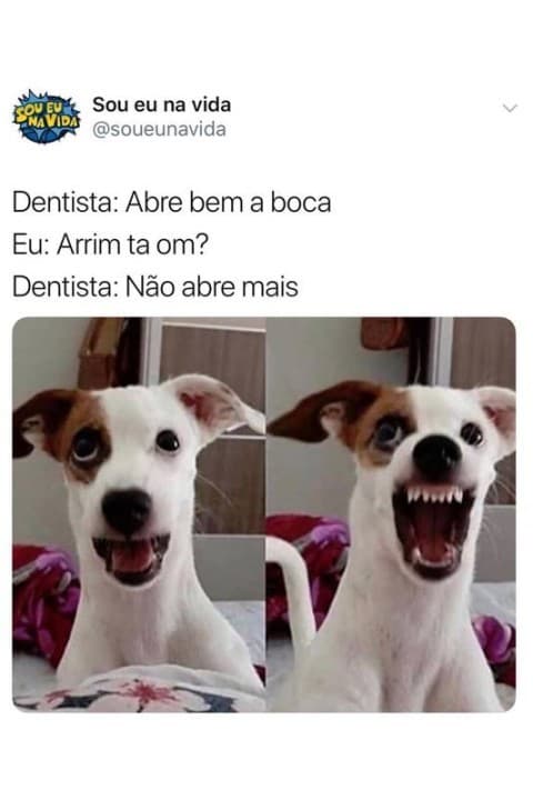 Moda Sou Eu Na Vida