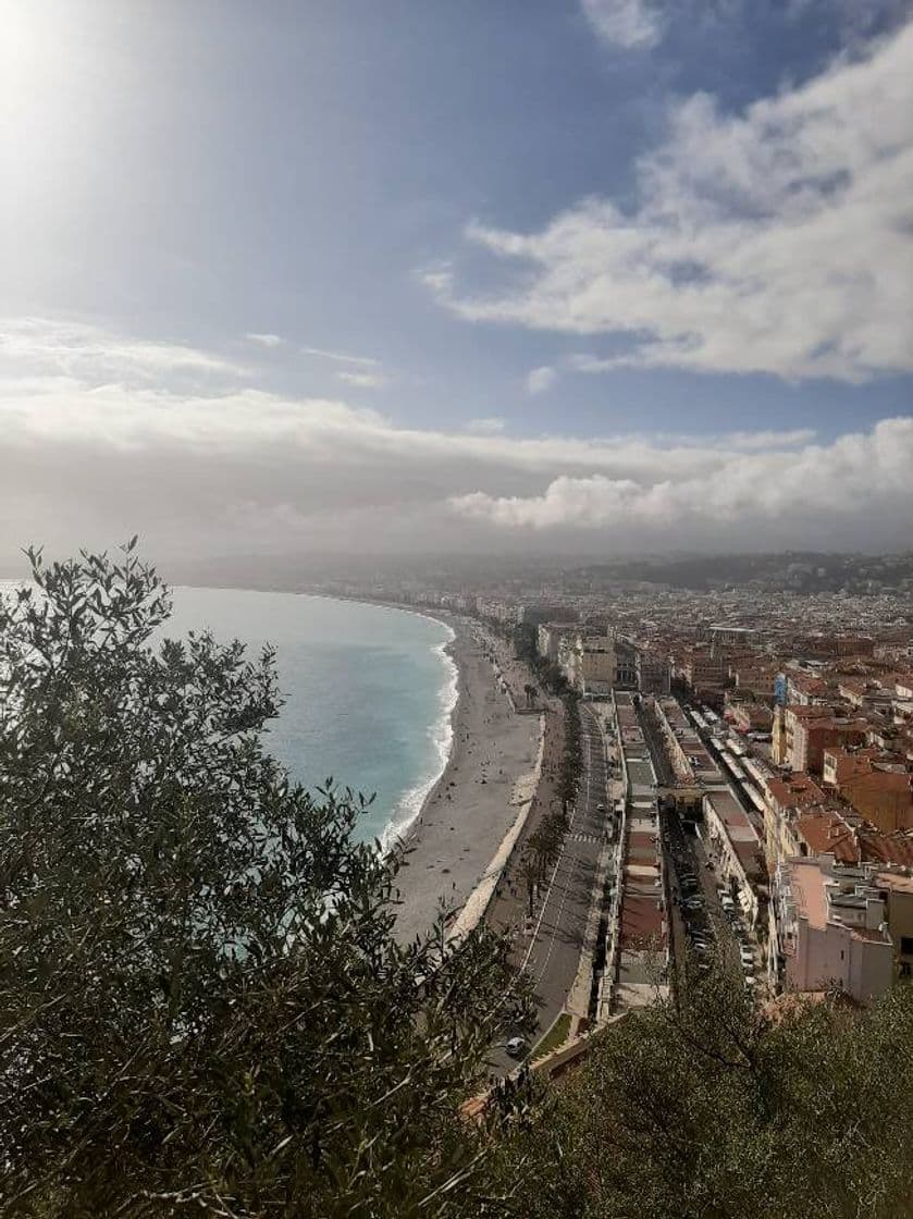 Lugar Château de Nice