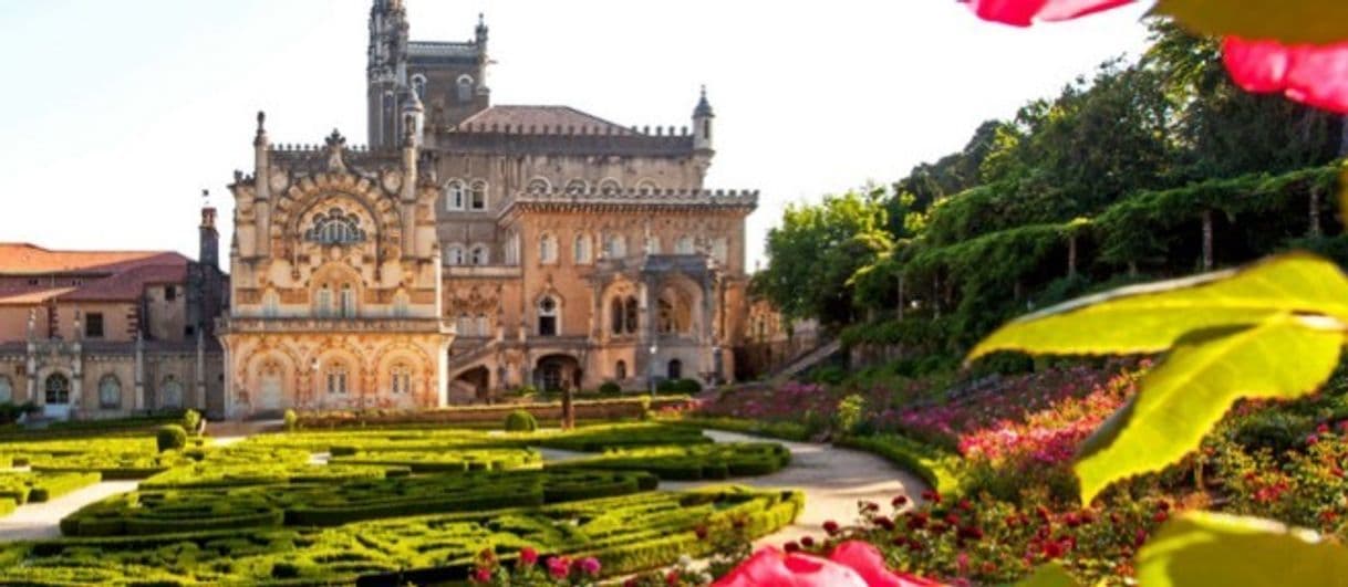 Lugar Palácio do Buçaco