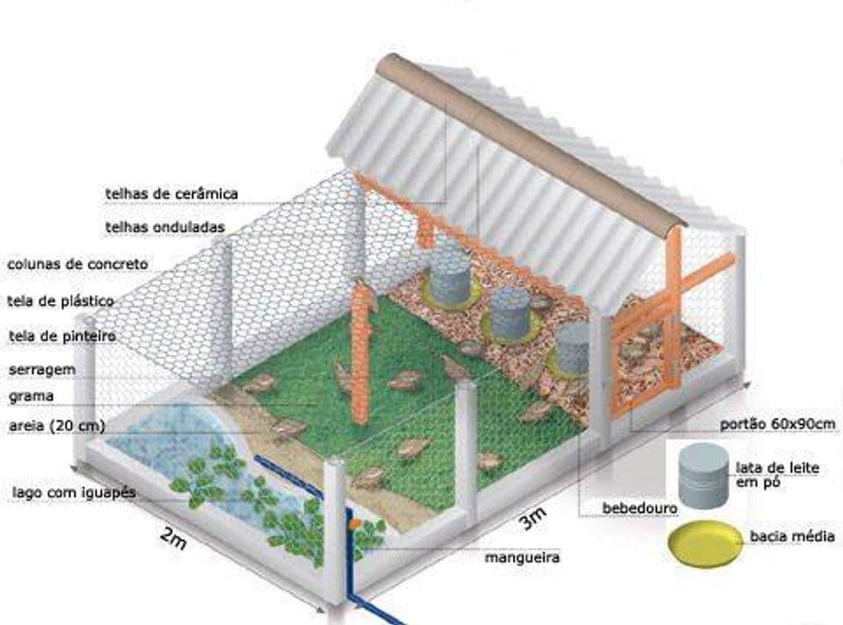 Fashion Como construir um galinheiro