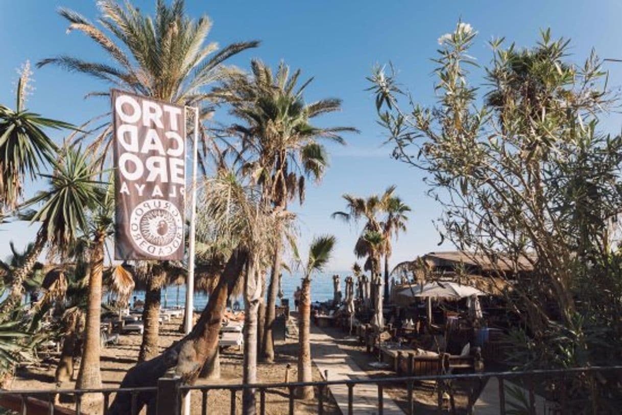 Restaurants Trocadero Playa