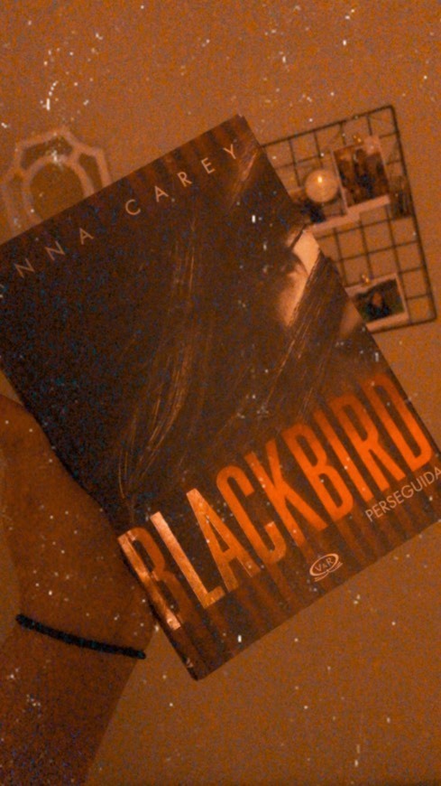 Libro Blackbird