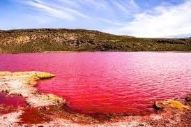 Lugar Laguna Roja