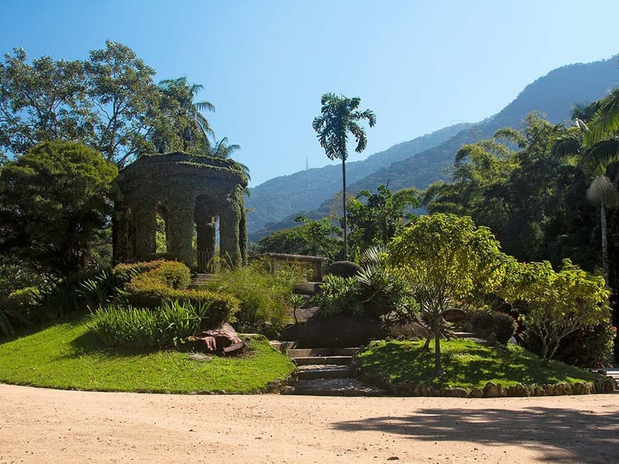 Lugar Jardim Botânico