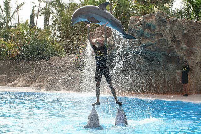 Place Loro Parque