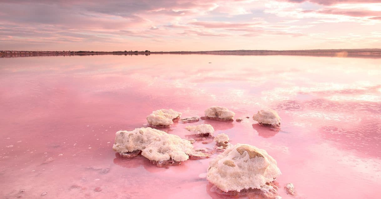 Lugar Salinera rosa