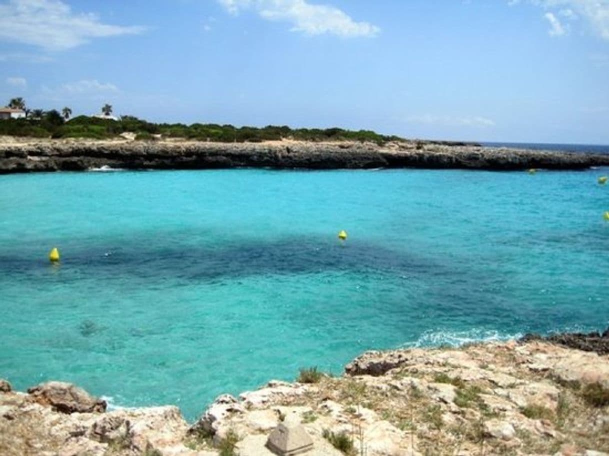 Lugar Cala en Bosc