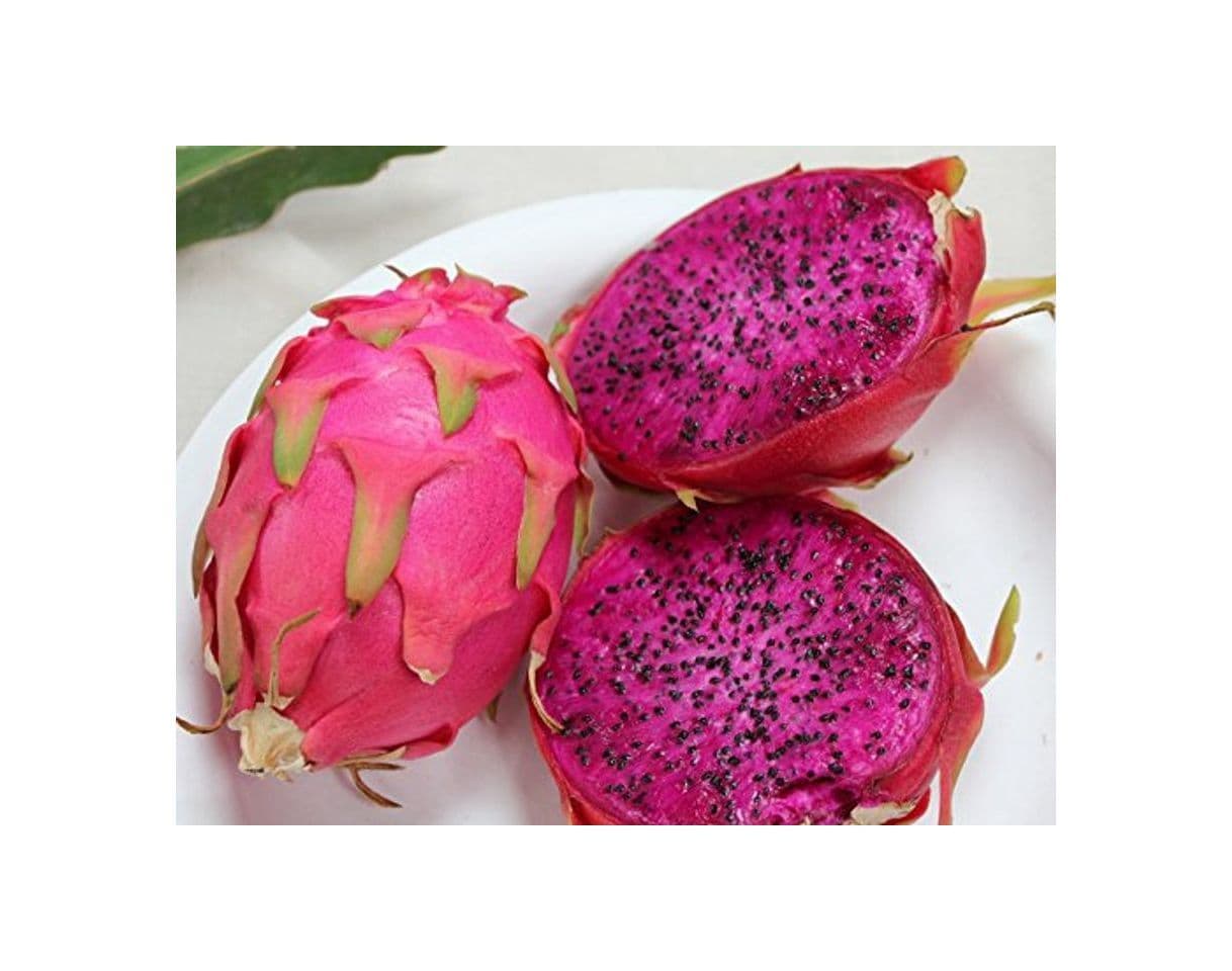 Producto 20 PURPLE DRAGON FRUIT